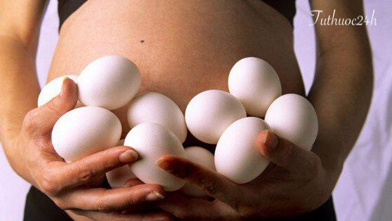 Ăn trứng ngỗng khi mang thai có gây tác hại gì không?