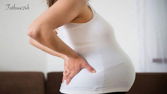 Nguyên nhân, triệu chứng và cách phòng ngừa triệu chứng đau lưng khi mang thai