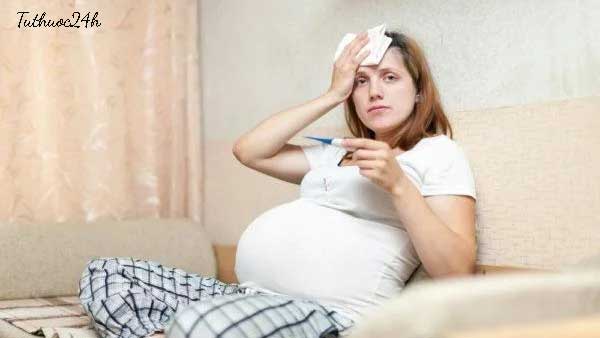 sốt khi mang thai