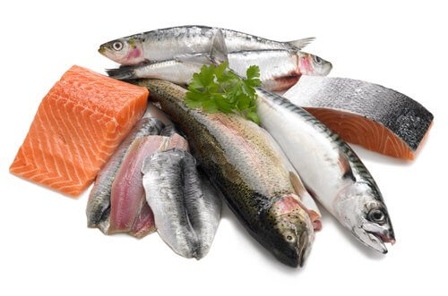 Cá hồi, cá trích là những động vật có chứa nhiều omega 3 mà bạn có thể bổ sung trong bữa ăn hằng ngày