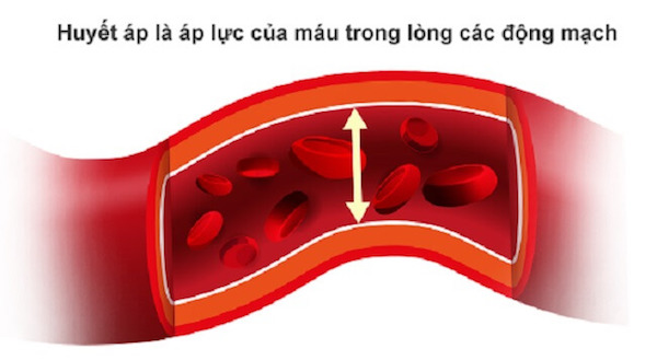 Huyết áp là lực đẩy của máu trong các mạch máu