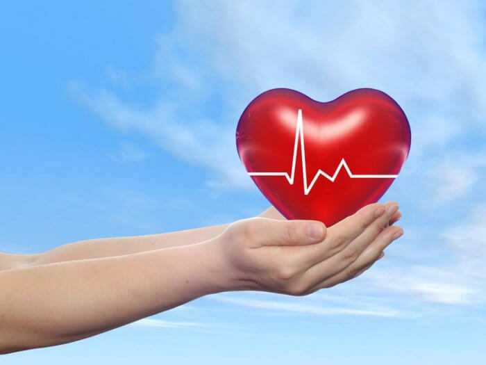 đậu xanh có tác dụng chữa bệnh tim mạch