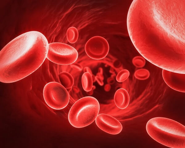 Tế bào hồng cầu là tế bào làm cho máu có màu đỏ