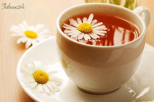 Uống 2 tách trà hoa cúc mỗi ngày giúp lấy lại giọng mau hơn.