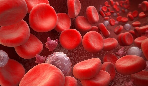 Việc biết mình thuộc nhóm máu gì là điều rất quan trọng trong cấp cứu và chữa bệnh
