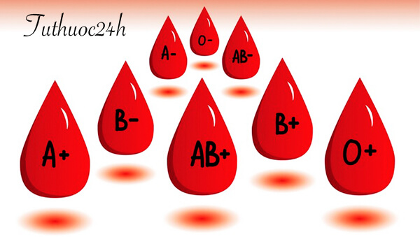 Các nhóm máu và những điều bạn cần biết về nguyên tắc truyền máu