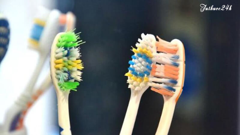 Thay đổi bàn chải đánh răng thường xuyên để không bi sâu răng