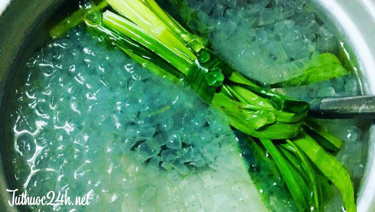Tác dụng của nha đam đường phèn: thanh nhiệt cơ thể, hỗ trợ tiêu hóa, tăng sức đề kháng, làm đẹp da