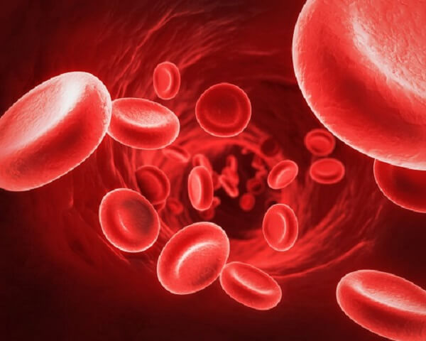 Thiếu máu hồng cầu nhỏ là hiện tượng xảy ra khi các mô và cơ quan trong cơ thể thiếu oxy